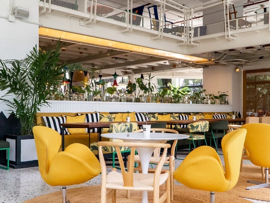 ร้านอาหารแถวจรัญ บรรยากาศดี The Tree Gallery and Bistro